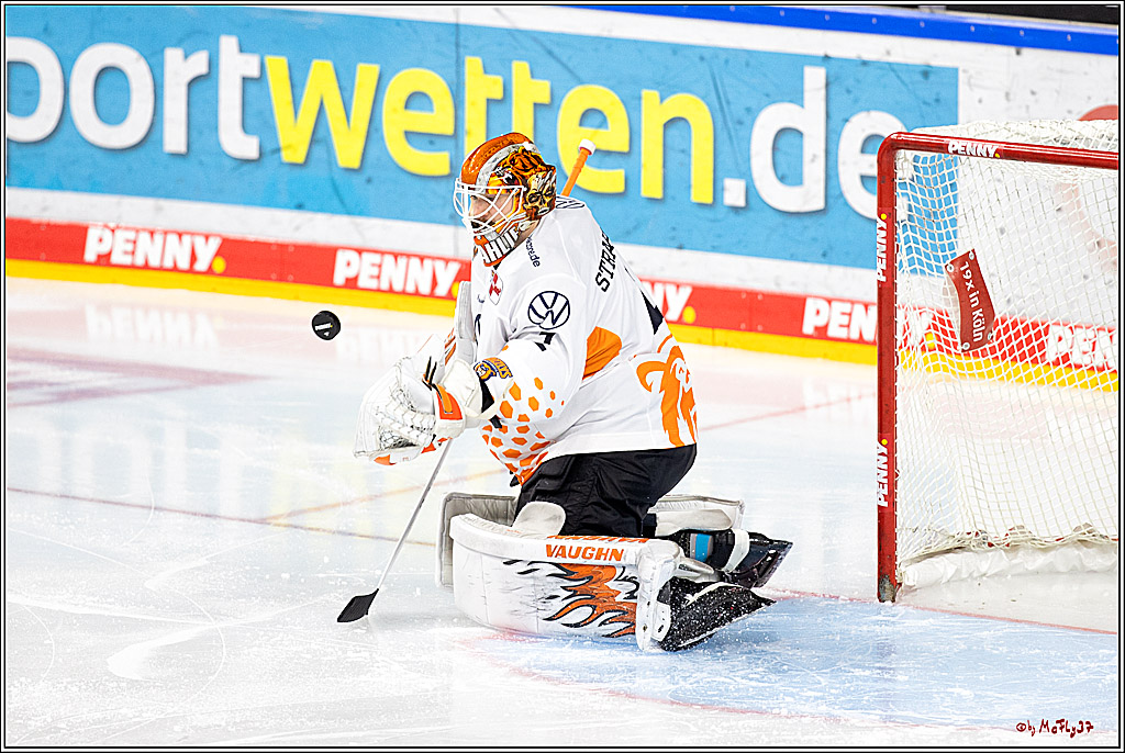 PENNY DEL;  Kölner Haie - Grizzly Wolfsburg; Köln, 26.10.2022